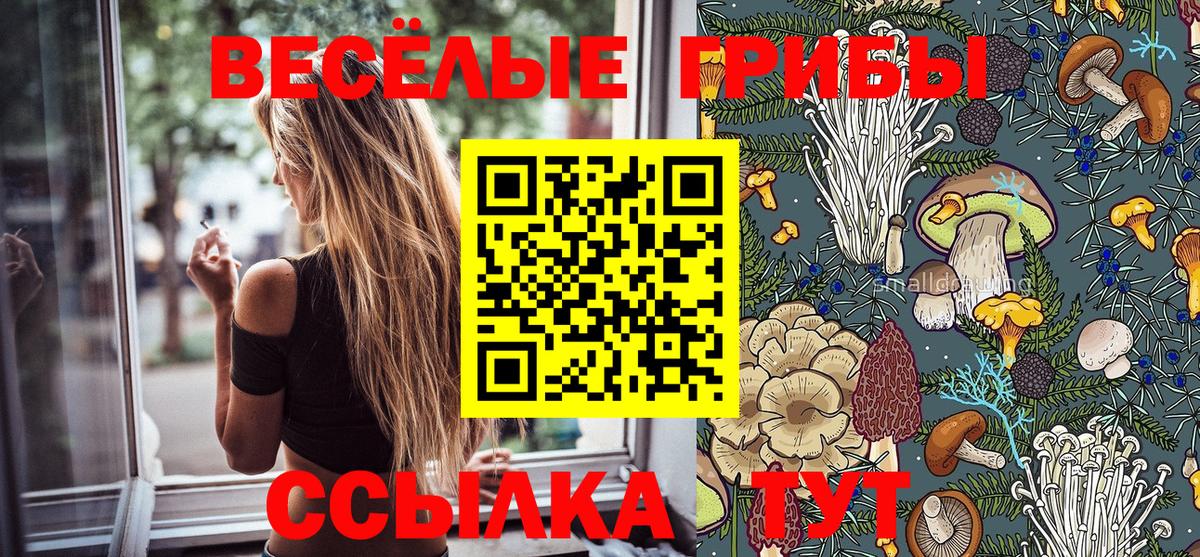 Псилоцибиновые грибы GOLDEN TEACHER  Вход с VPN  Мыски 