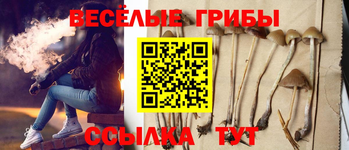 Галлюциногенные грибы прущие грибы Мыски
